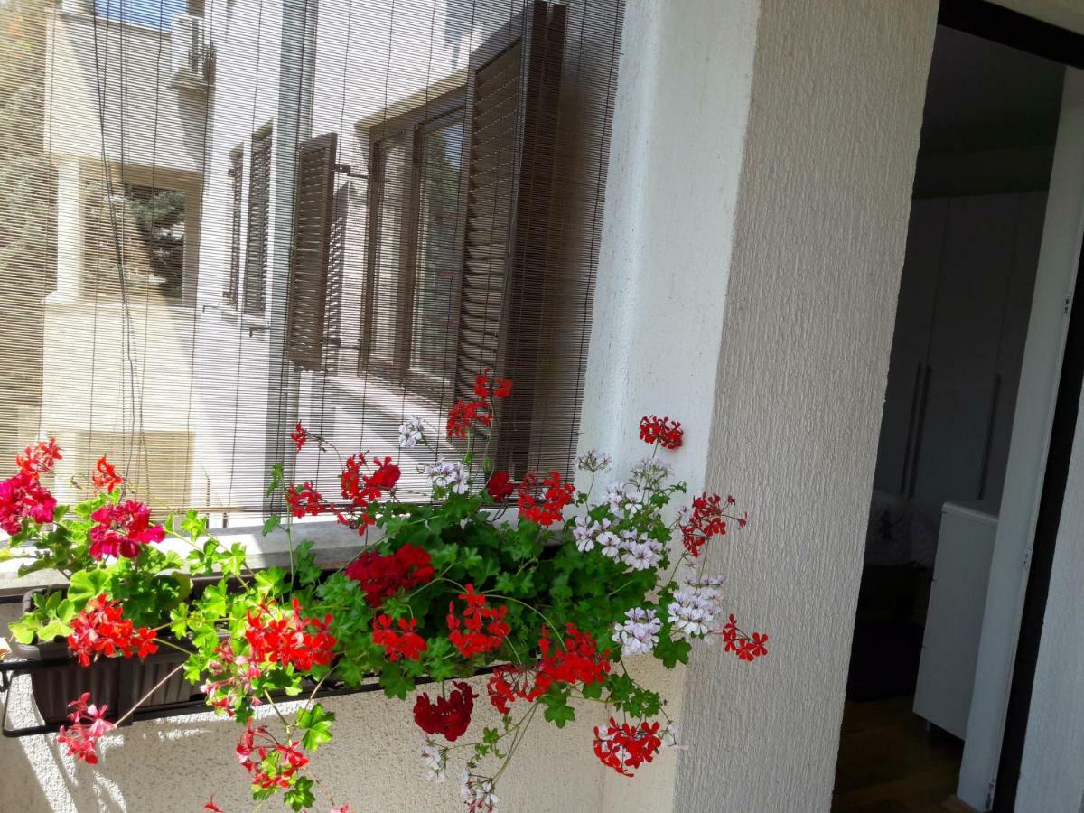 Apartments Ruzica พูลา ภายนอก รูปภาพ